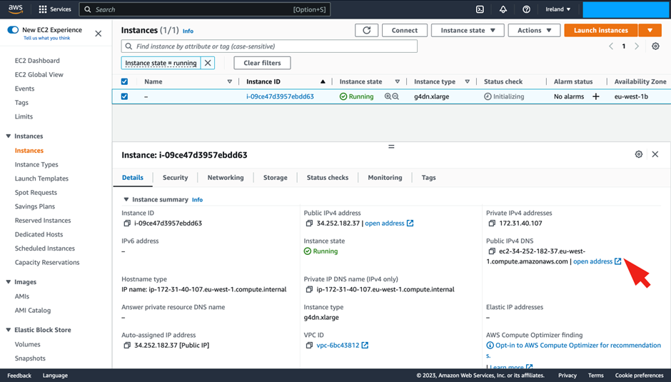 How to Connect to your AWS Cloud Server with DCV - EC2 console under Public IPv4 DNS