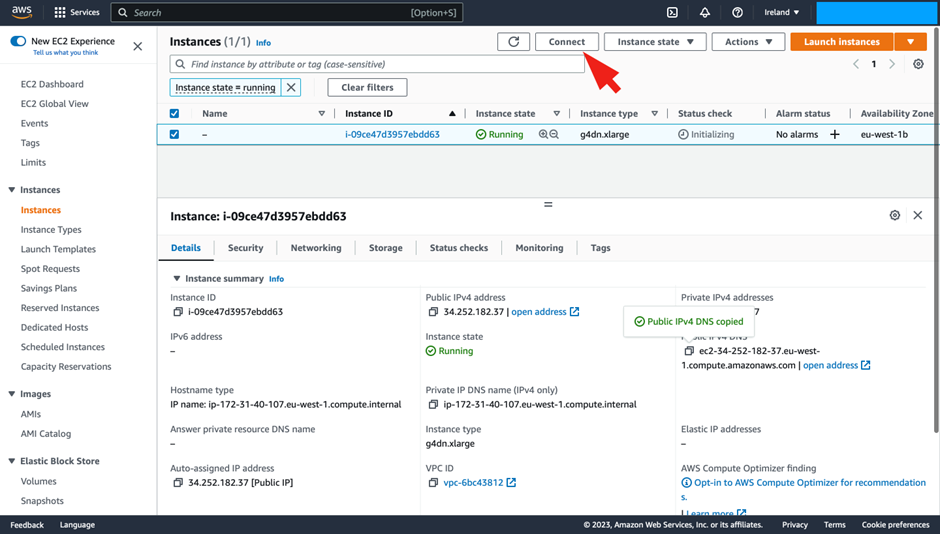 How to Connect to your AWS Cloud Server with DCV - Login to a Windows Server via EC2 console and the Connect functionality