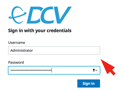 Enter trough browser or native DCV client, to access Windows server